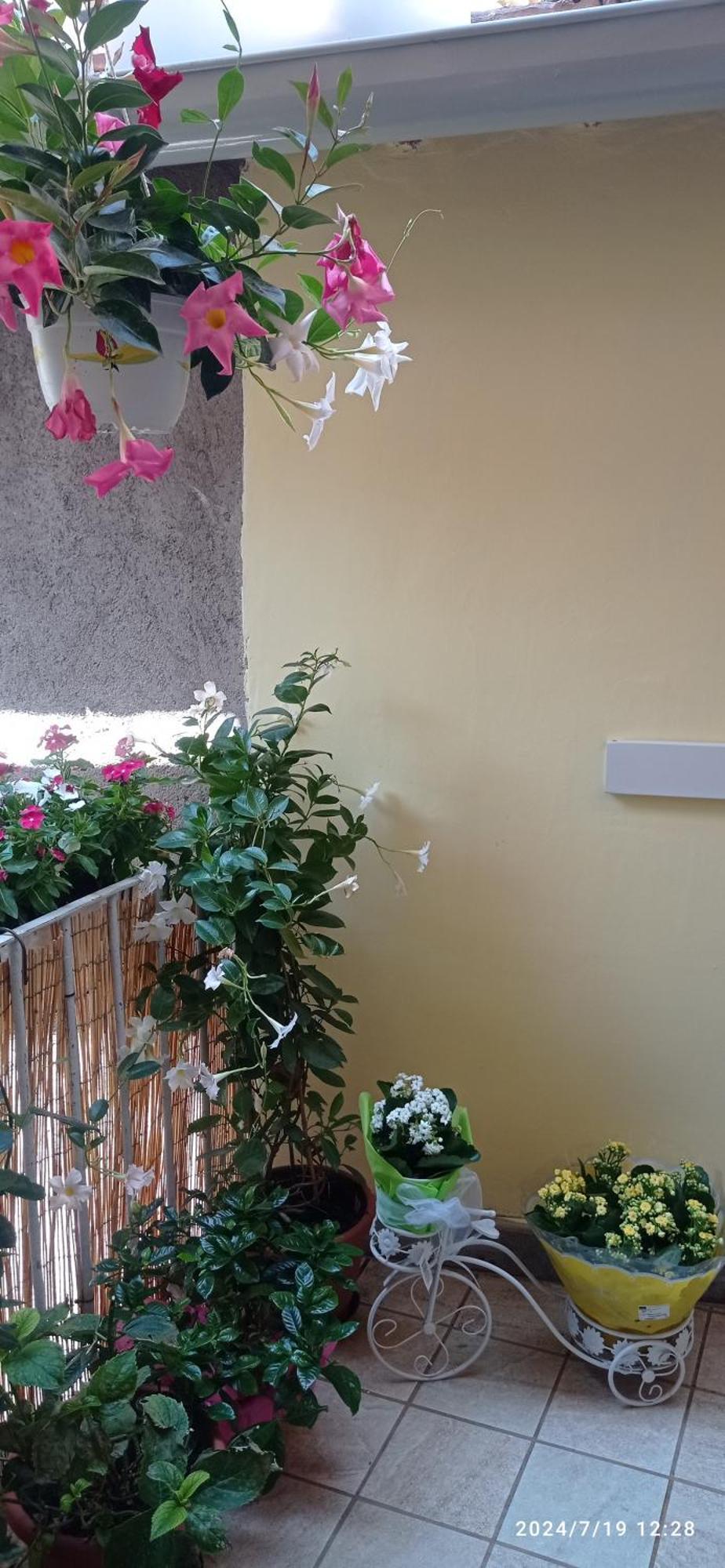 Appartement Residenza Del Sepale à Viterbe Extérieur photo
